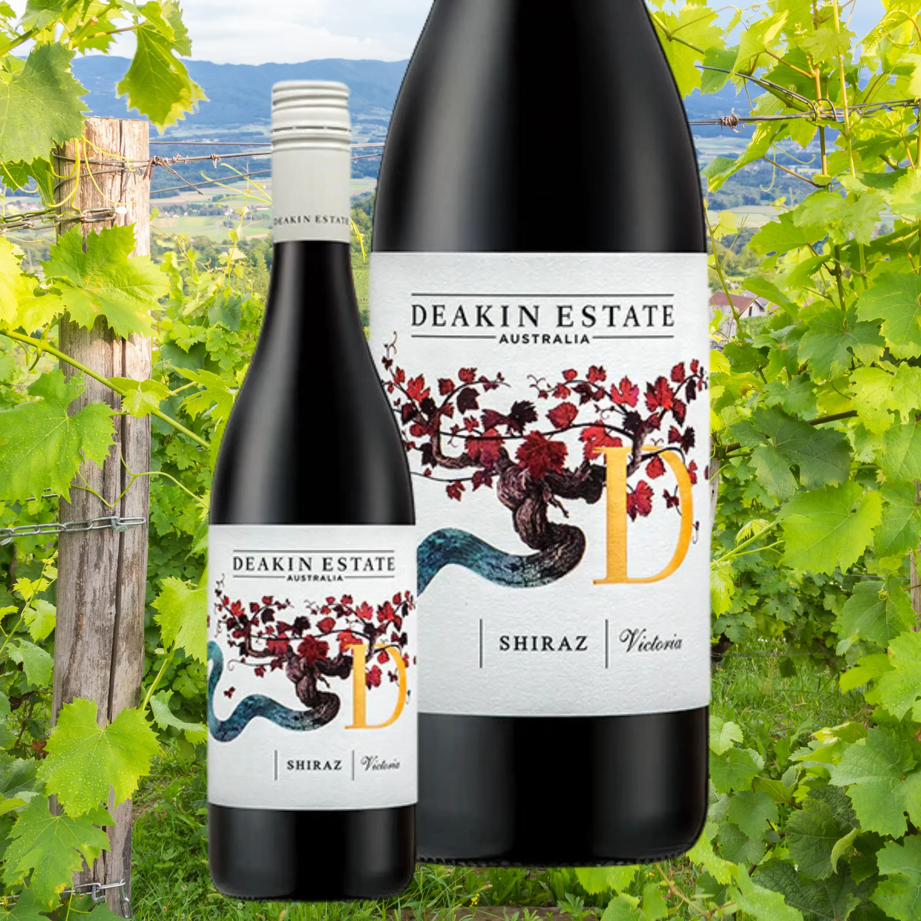 A Gift of Rudolf's Racing Red Shiraz - Image 2