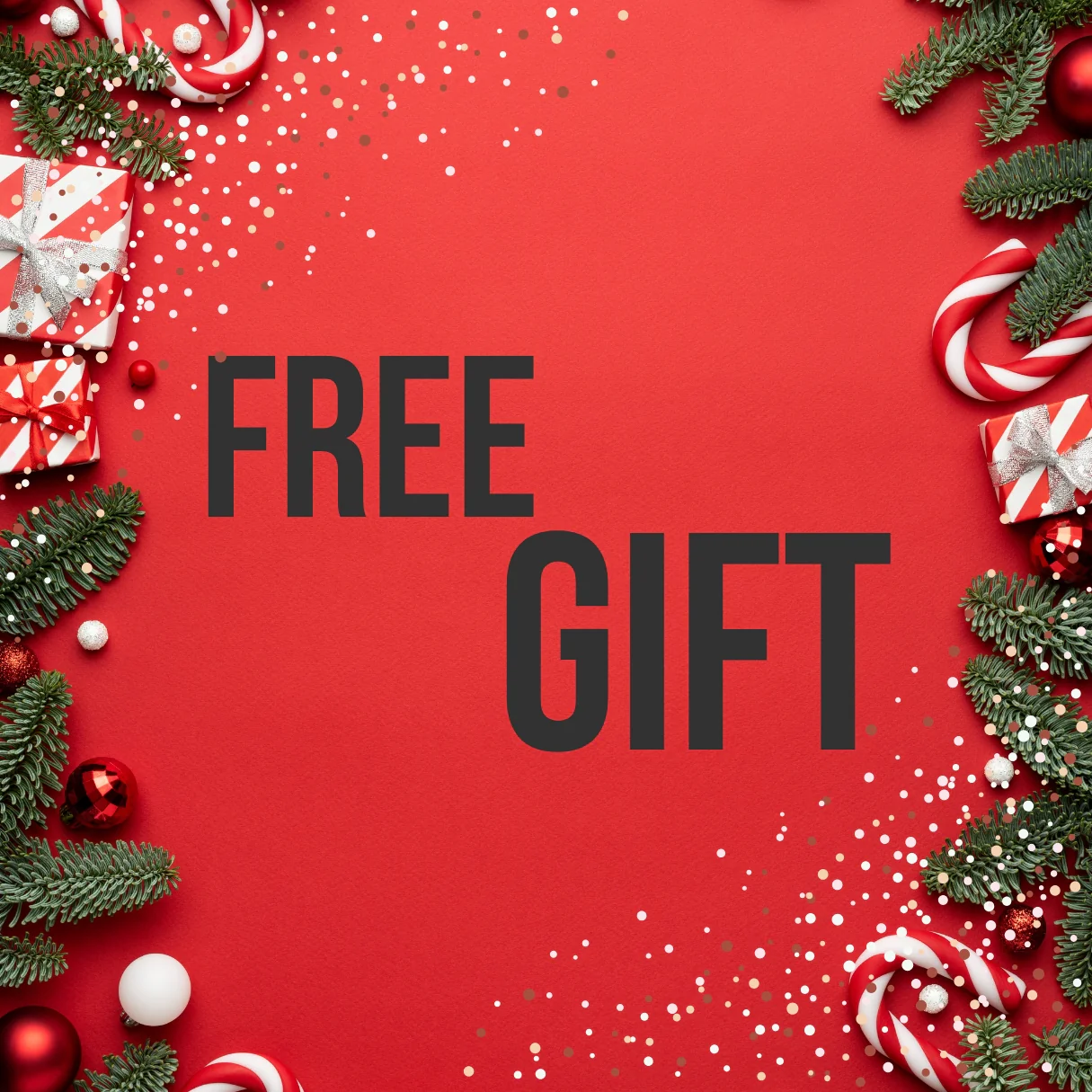 Special Christmas Deal
