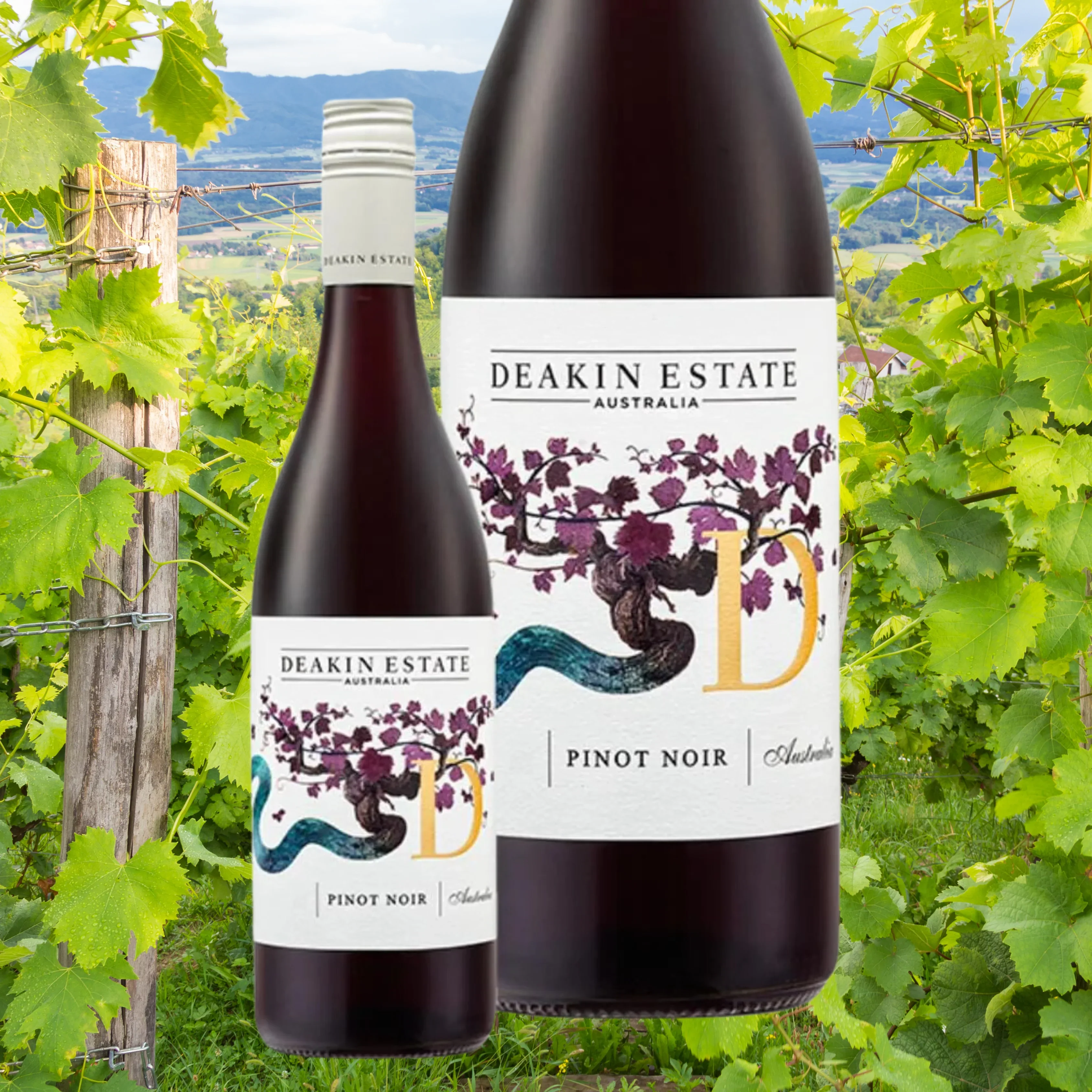 Merry Pinot Noir Celebrations - Image 2