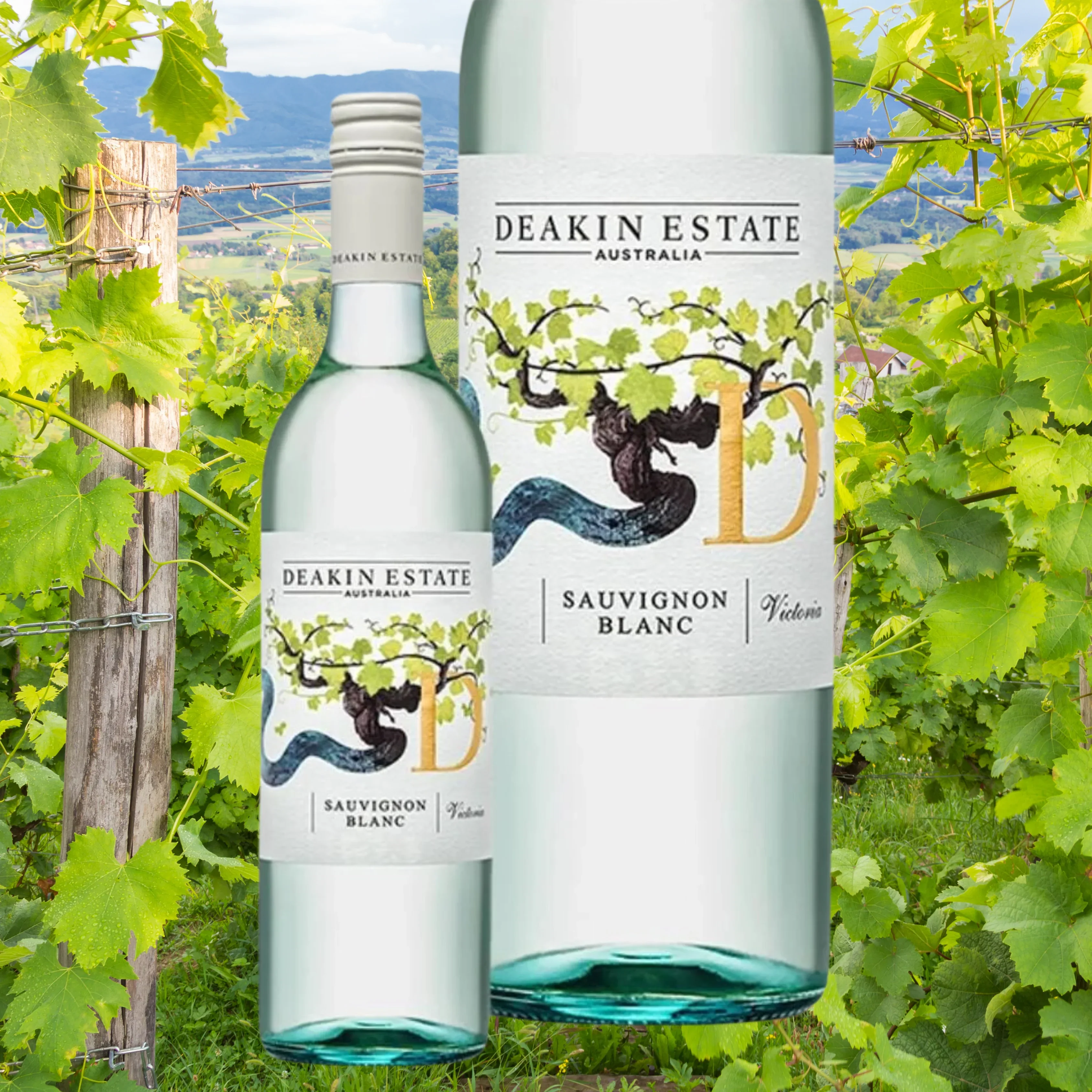Perfect Holiday Treats with Sauvignon Blanc - Image 2