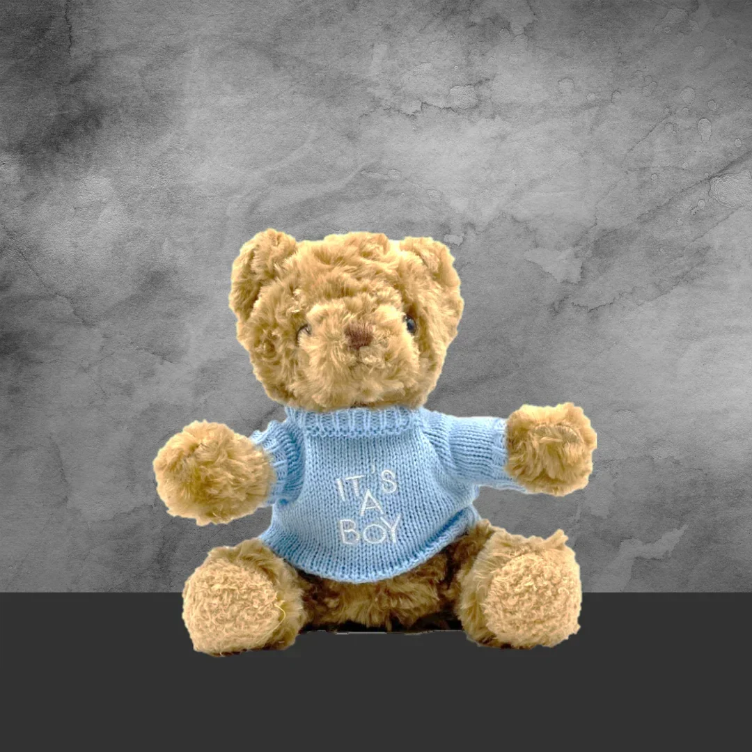 Teddy Bear With It’s a Boy